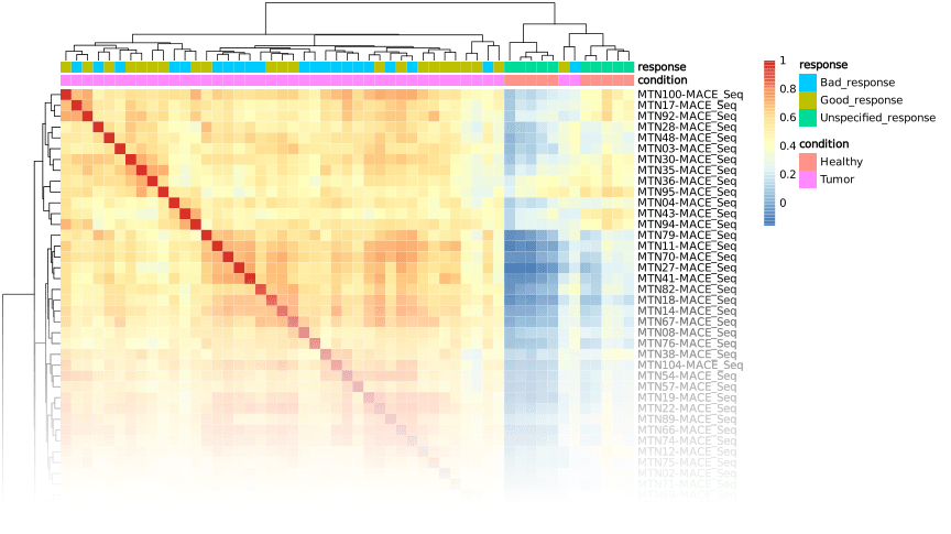 Correlation heatmap showing relationships between gene expression samples
