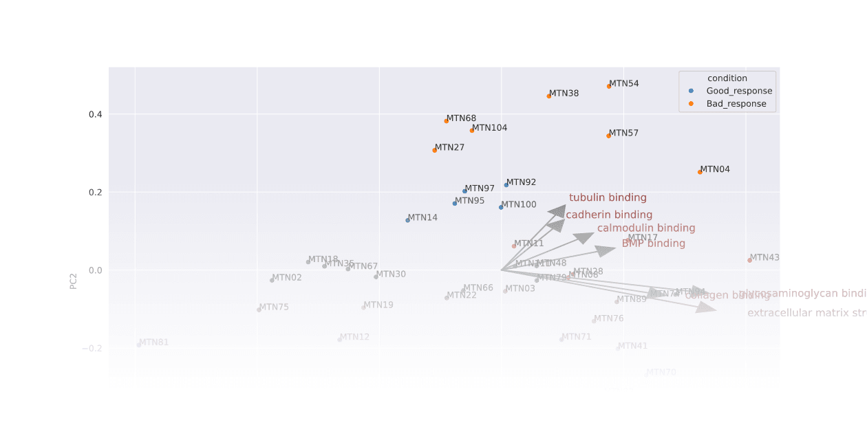 PCA biplot from gene set enrichment analysis
