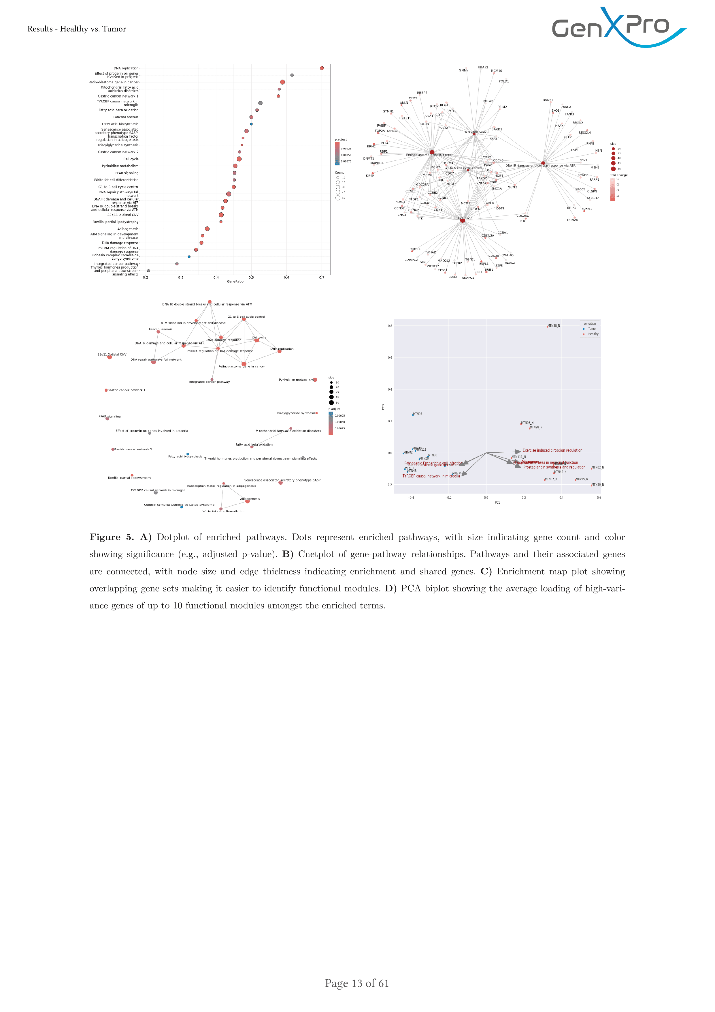 Summary report page showing expression count statistics