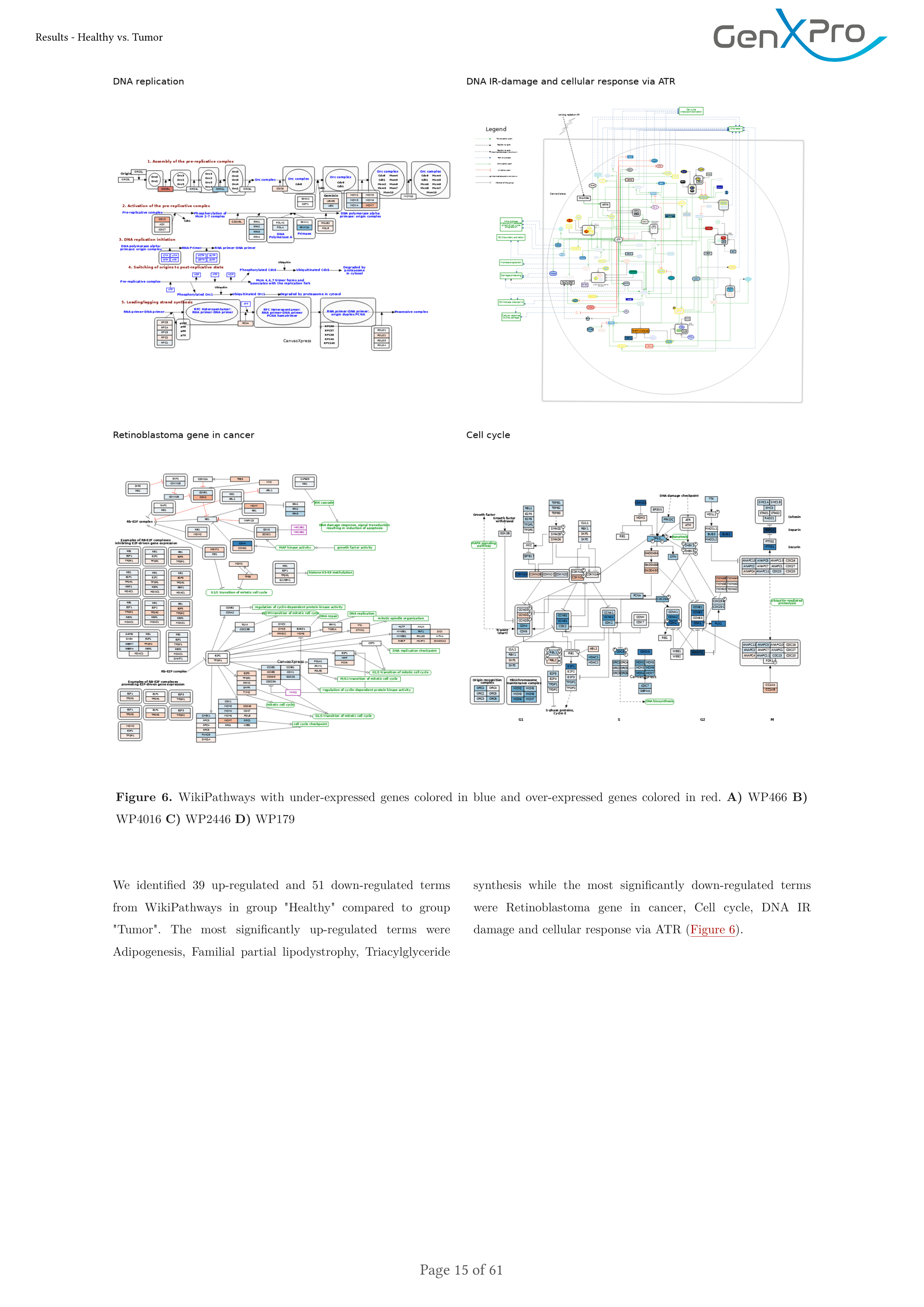 Summary report page showing gene set enrichment results